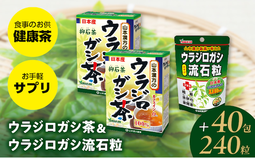 ウラジロガシ茶＆ウラジロガシ 流石粒［ウラジロガシ茶 健康茶 人気健康茶 健康ラジロガシ茶 人気健康茶 ］