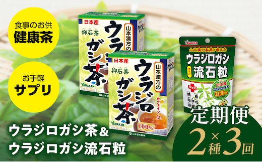 ＜3ヶ月連続＞ウラジロガシ茶＆ウラジロガシ 流石粒［ウラジロガシ茶 健康茶 人気健康茶 健康茶定期便 人気定期便 ］