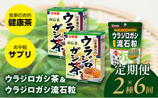 ＜6ヶ月連続＞ウラジロガシ茶＆ウラジロガシ 流石粒［ウラジロガシ茶 健康茶 人気健康茶 健康茶定期便 人気定期便 ］