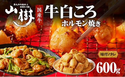 山樹の国産牛白ころホルモン焼き（丸腸）味付 600g