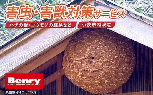 害虫、害獣対策サービス