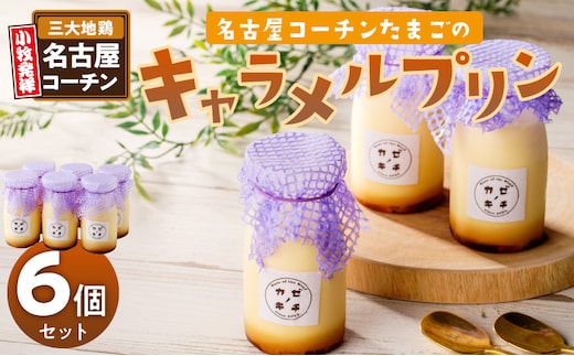 名古屋コーチンたまごのキャラメルプリン 6個セット