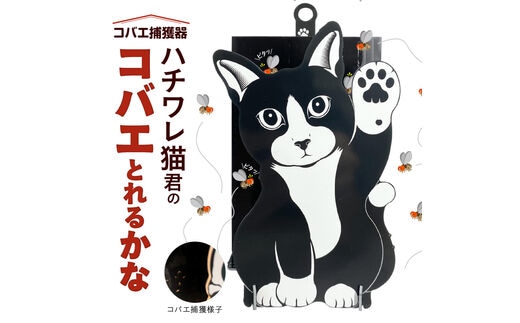 ハチワレ猫君の「コバエとれるかな」