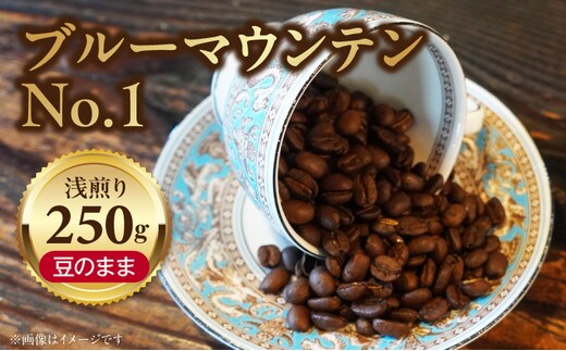 ブルーマウンテンＮｏ．１（豆のまま）［104T03］