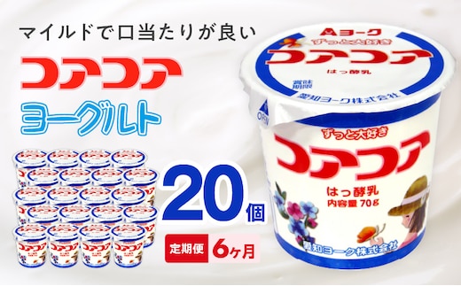 【6ヶ月定期便】愛知ヨーク コアコアヨーグルト 20個入