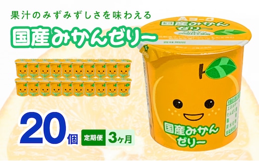 【3ヶ月定期便】愛知ヨーク 国産みかんゼリー 20個入