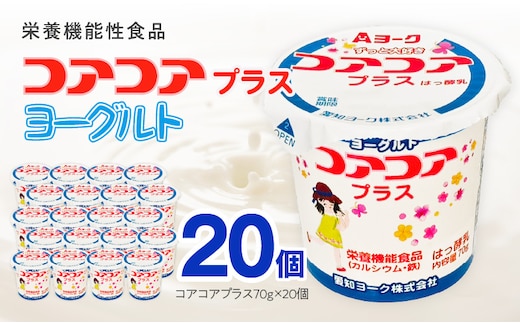 愛知ヨーク コアコアプラスヨーグルト 20個入 （栄養機能性食品）