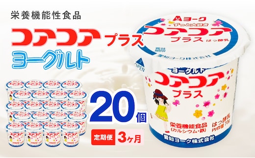 【3ヶ月定期便】愛知ヨーク コアコアプラスヨーグルト 20個入