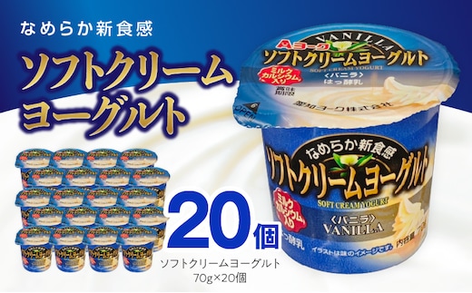 愛知ヨーク ソフトクリームヨーグルト 20個入