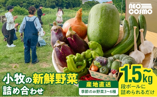 ★障がい者支援施設応援品★ ネオコスモ農園で採れた小牧の野菜詰め合わせ