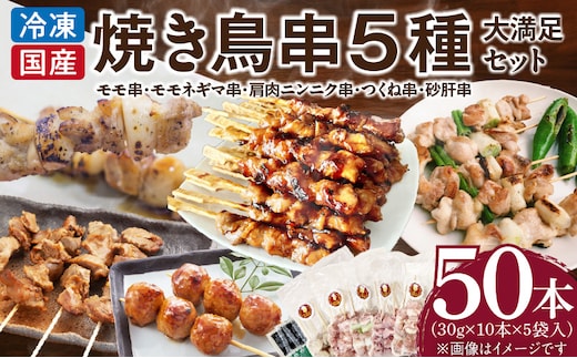 【大満足セット】冷凍国産鶏 焼き鳥串 人気の5種 合計50本セット 小分け パック