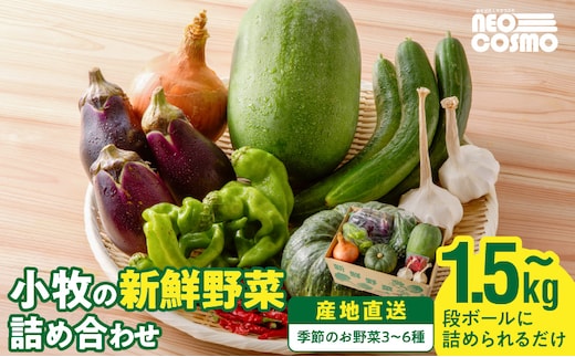 ネオコスモ農園で採れた小牧の野菜詰め合わせ ［ 新鮮野菜 産地直送野菜 採れたて野菜 旬野菜 おまかせ野菜 季節野菜 野菜詰合せ 野菜詰め合わせ 野菜盛り合わせ たっぷり野菜 野菜セット 大容量野菜 トマト ナス ピーマン かぼちゃ 冬瓜 ショウガ ネギ にんにく じゃがいも さつまいも 玉ねぎ など］