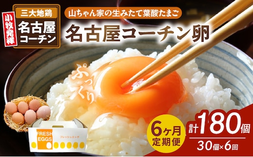 【6ヶ月定期便】【山ちゃん家の生みたて葉酸たまご】名古屋コーチン卵（30個入り）