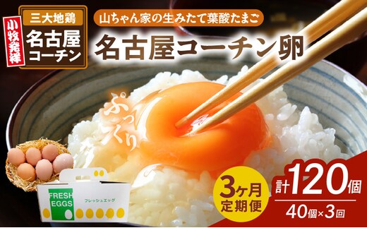 【3ヶ月定期便】【山ちゃん家の生みたて葉酸たまご】名古屋コーチン卵（40個入り）
