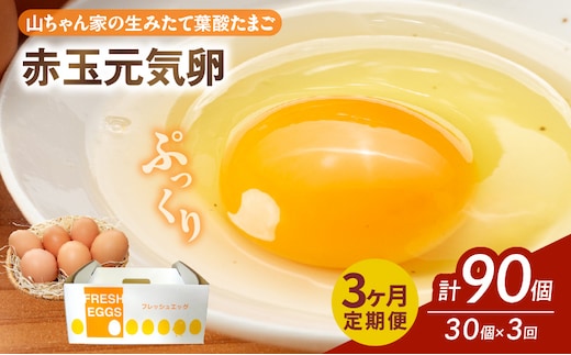 【3ヶ月定期便】【山ちゃん家の生みたて葉酸たまご】赤玉元気卵（30個入り）