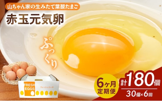【6ヶ月定期便】【山ちゃん家の生みたて葉酸たまご】赤玉元気卵（30個入り）