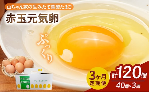 【3ヶ月定期便】【山ちゃん家の生みたて葉酸たまご】赤玉元気卵（40個入り）