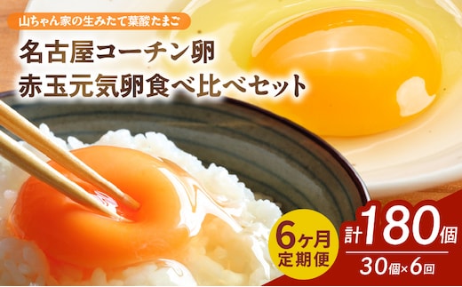 【6ヶ月定期便】【山ちゃん家の生みたて葉酸たまご】名古屋コーチン卵・赤玉元気卵 食べ比べセット（各15個 合計30個入り）