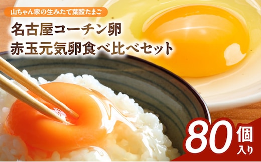 【山ちゃん家の生みたて葉酸たまご】名古屋コーチン卵・赤玉元気卵 食べ比べセット（各40個 合計80個入り）