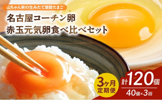 【3ヶ月定期便】【山ちゃん家の生みたて葉酸たまご】名古屋コーチン卵・赤玉元気卵 食べ比べセット（各20個 合計40個入り）