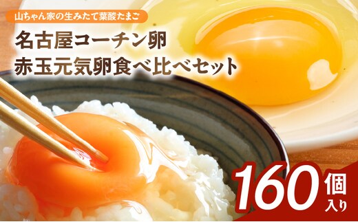 【山ちゃん家の生みたて葉酸たまご】名古屋コーチン卵・赤玉元気卵 食べ比べセット（各80個 合計160個入り）