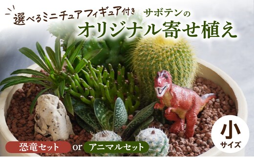 サボテンのオリジナル寄せ植え（小）【恐竜セット/アニマルセット】［ 本格サボテン 産地直送サボテン フィギュア付きサボテン インテリア サボテンギフト プレゼント オシャレサボテン かわいいサボテン サボテン寄せ植え オリジナルサボテン 人気サボテン 多肉植物 ］