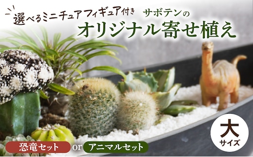 サボテンのオリジナル寄せ植え（大）【恐竜セット/アニマルセット】［ 本格サボテン 産地直送サボテン フィギュア付きサボテン インテリア サボテンギフト プレゼント オシャレサボテン かわいいサボテン サボテン寄せ植え オリジナルサボテン 人気サボテン 多肉植物 ］