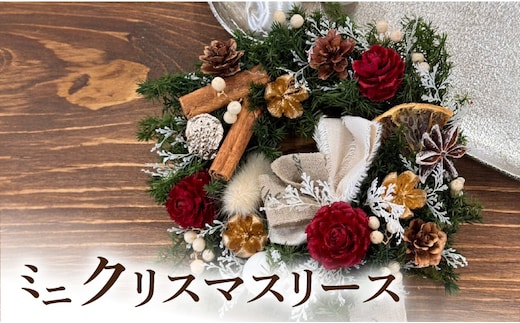 ミニクリスマスリース ［クリスマス飾り クリスマスリース クリスマスグッズ クリスマスパーティ クリスマスオーナメント インテリア フラワーリース 花 おしゃれ かわいい クリスマスツリー クリスマスデコレーション クリスマスギフト クリスマスプレゼント］
