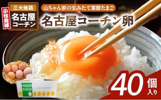 【山ちゃん家の生みたて葉酸たまご】名古屋コーチン卵（40個入り）［ 新鮮たまご 産地直送たまご 大容量 高級たまご 地鶏 たまご 卵 玉子 タマゴ 葉酸卵 妊娠中 高齢者 朝食 卵料理 卵かけご飯 卵焼き 目玉焼き 山田養鶏 お取り寄せグルメ ］