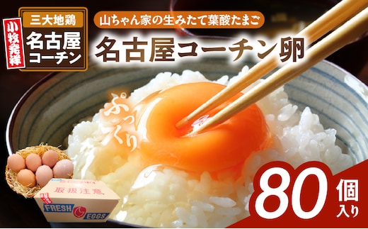 【山ちゃん家の生みたて葉酸たまご】名古屋コーチン卵（80個入り）［ 新鮮たまご 産地直送たまご 大容量 高級たまご 地鶏 たまご 卵 玉子 タマゴ 葉酸卵 妊娠中 高齢者 朝食 卵料理 卵かけご飯 卵焼き 目玉焼き 山田養鶏 お取り寄せグルメ ］