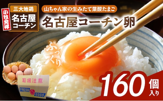 【山ちゃん家の生みたて葉酸たまご】名古屋コーチン卵（160個入り）［ 新鮮たまご 産地直送たまご 大容量 高級たまご 地鶏 たまご 卵 玉子 タマゴ 葉酸卵 妊娠中 高齢者 朝食 卵料理 卵かけご飯 卵焼き 目玉焼き 山田養鶏 お取り寄せグルメ ］