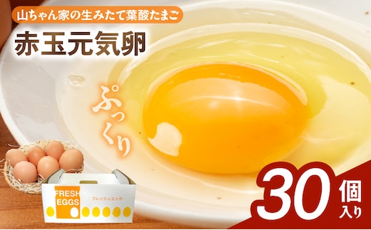 【山ちゃん家の生みたて葉酸たまご】赤玉元気卵（30個入り）［ 新鮮たまご 産地直送たまご 大容量 高級たまご 地鶏 たまご 卵 玉子 タマゴ 葉酸卵 妊娠中 高齢者 朝食 卵料理 卵かけご飯 卵焼き 目玉焼き 山田養鶏 お取り寄せグルメ ］