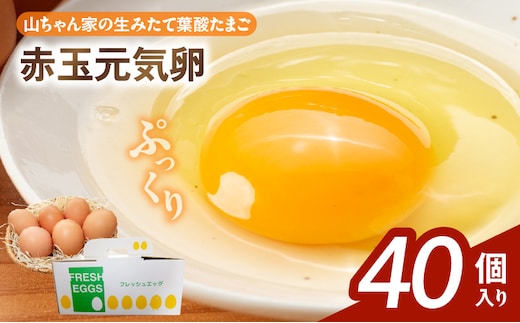 【山ちゃん家の生みたて葉酸たまご】赤玉元気卵（40個入り）［ 新鮮たまご 産地直送たまご 大容量 高級たまご 地鶏 たまご 卵 玉子 タマゴ 葉酸卵 妊娠中 高齢者 朝食 卵料理 卵かけご飯 卵焼き 目玉焼き 山田養鶏 お取り寄せグルメ ］