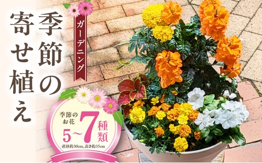 ガーデニング 季節の寄せ植え