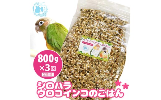 【3ヶ月定期便】fuu シロハラインコ・ウロコインコのごはん（800g）