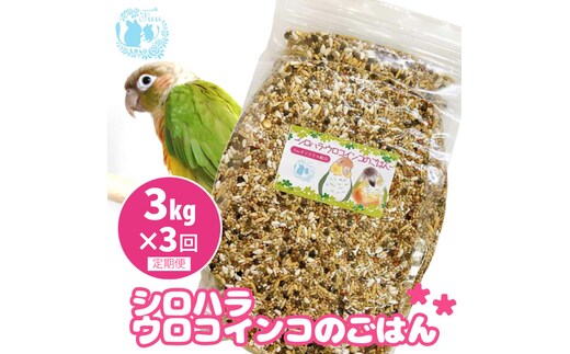 【3ヶ月定期便】fuu シロハラインコ・ウロコインコのごはん（3kg）