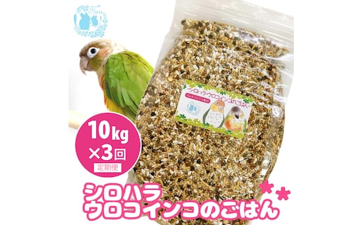【3ヶ月定期便】fuu シロハラインコ・ウロコインコのごはん（10kg）