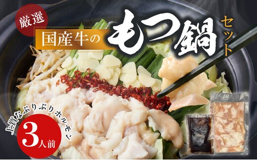 【食肉総合卸 丸正】厳選国産牛のもつ鍋セット（3人前）