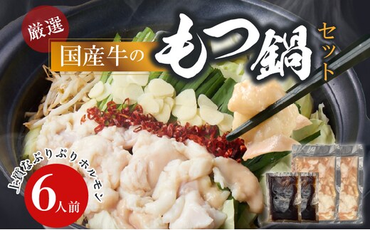 【食肉総合卸 丸正】厳選国産牛のもつ鍋セット（6人前）