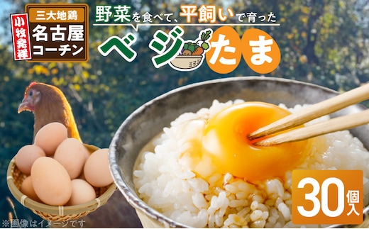 【医師監修】野菜を食べて育った平飼いの卵「名古屋コーチン ベジたま」（30個入り）