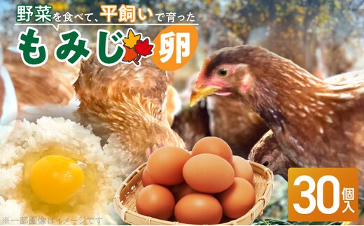【医師監修】野菜を食べて育った平飼いの卵「もみじ卵」（30個入り）