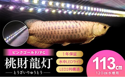金龍の鱗を美しく照らす!ピンクゴールドの水中アロワナライト|PG120-EX