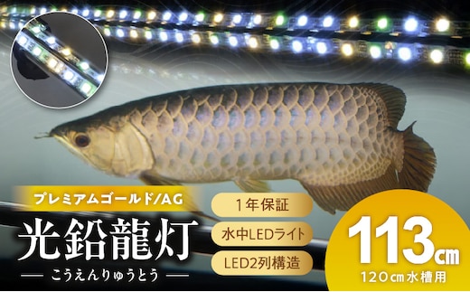 水槽全体を明るく照らし、鱗を際立たせる!金龍専用の高輝度水中ライト|AG120-EX