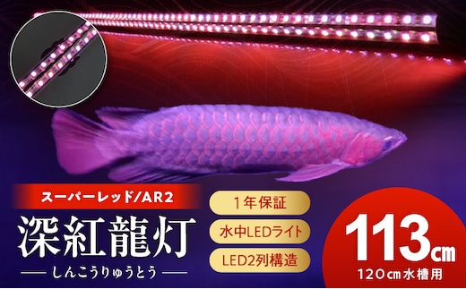 紅龍オーナー必見!一瞬でアロワナを美しく魅せる水中LEDライト|AR2-120-EX