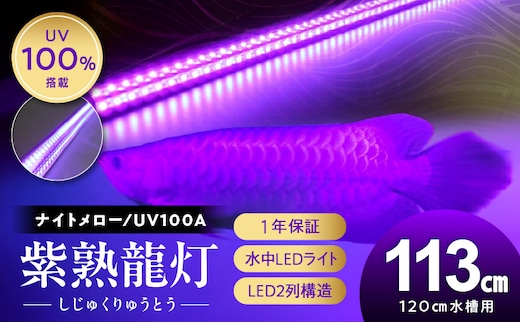 紫外線100%LEDで紅龍・金龍の色彩を引出す水中ライト|UVA100-120EX