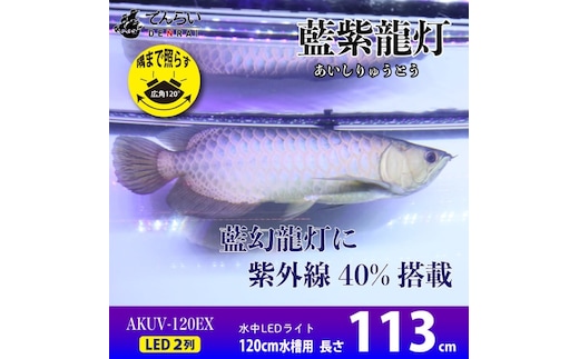スリム&高耐久!金龍を美しく、UV-Aチップ配合の水中LED|AK-120UV-EX
