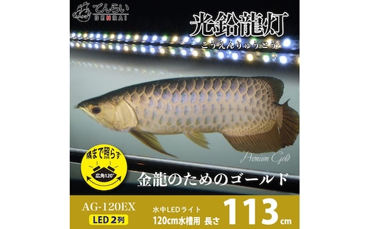 水槽全体を明るく照らし、鱗を際立たせる!金龍専用の高輝度水中ライト|AG120-EX