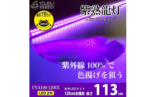 紫外線100%LEDで紅龍・金龍の色彩を引出す水中ライト|UVA100-120EX