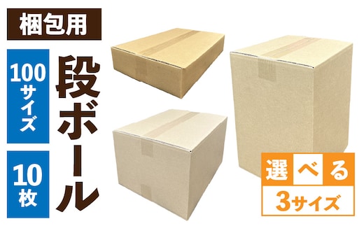 梱包用段ボール 100サイズ 10枚