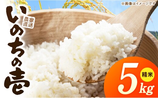 R7年産 「いのちの壱」（5kg）＜農家直送＞